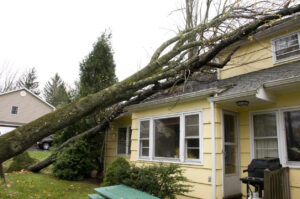 Navigating the Aftermath: A Comprehensive Guide on Dealing with a Tree Falling on Your Roof