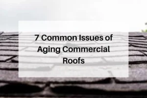 7 Common Issues of Aging Commercial Roofs