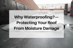 Why Waterproofing?—Protecting Your Roof From Moisture Damage