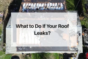 What to Do If Your Roof Leaks?